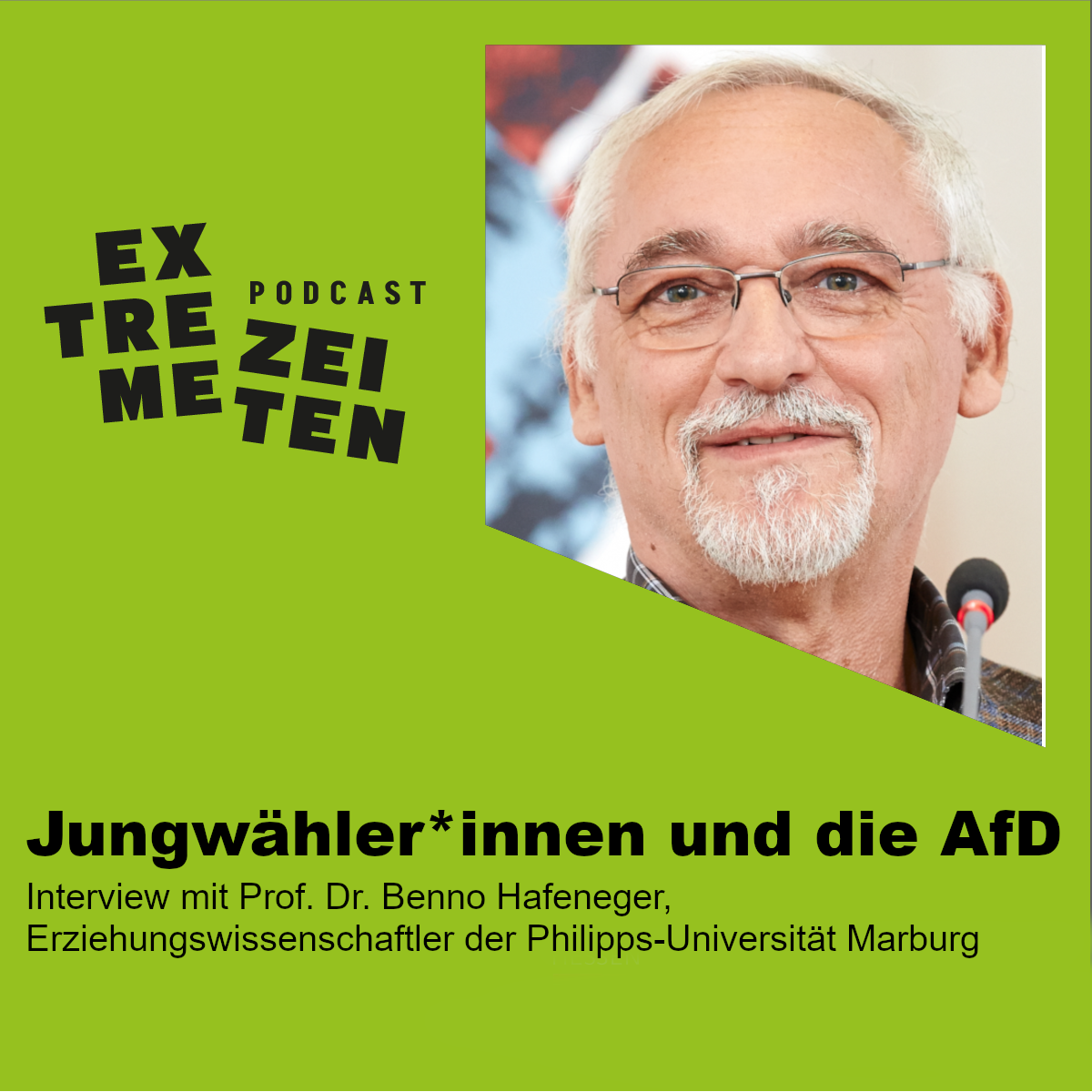 Jungwähler*innen und die AfD episode artwork
