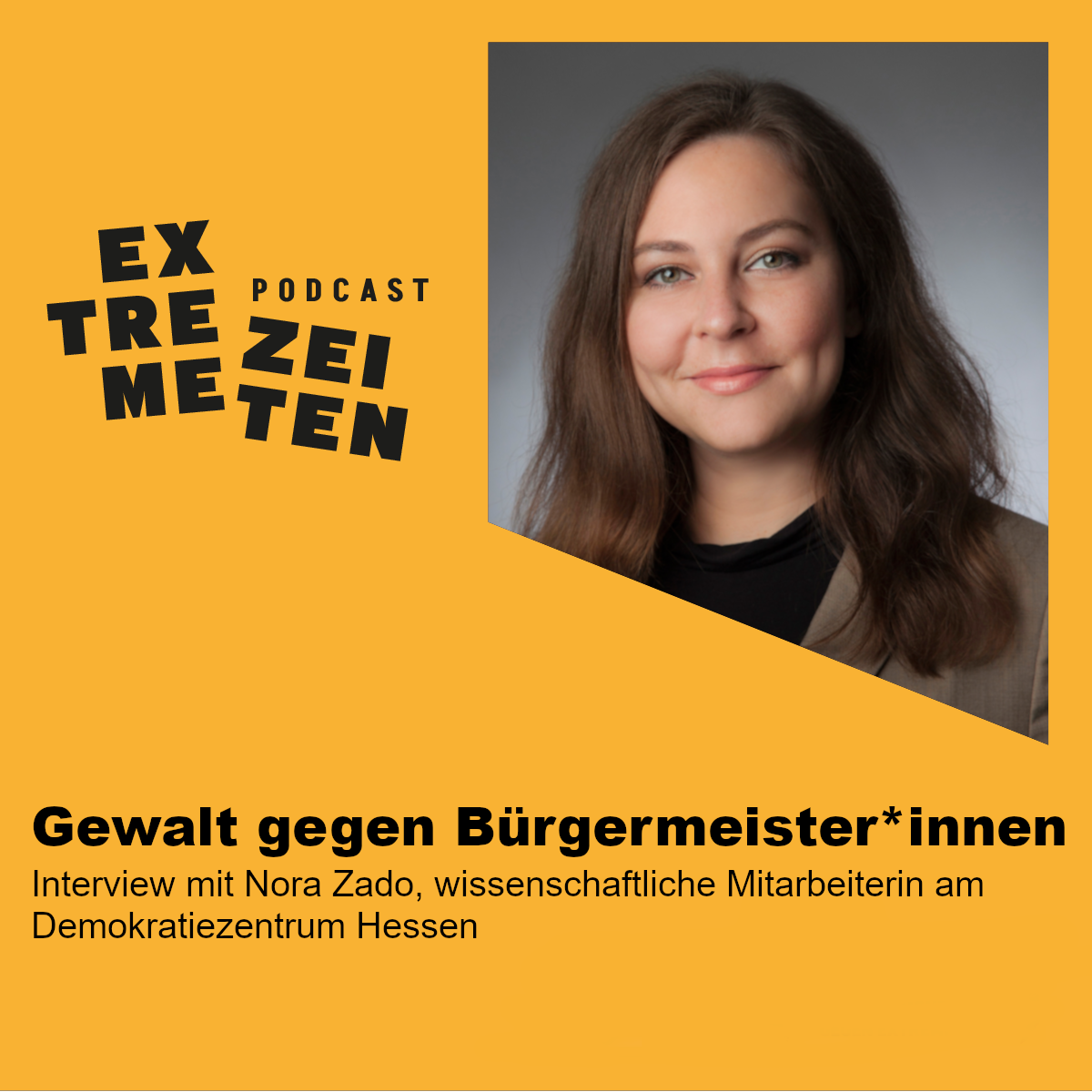 Gewalt gegen Bürgermeister*innen episode artwork